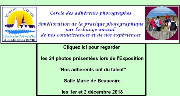 Expo "Nos adhérents ont du talent" des 01 et 02 décembre 2018