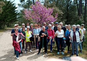 Marche à Sion
