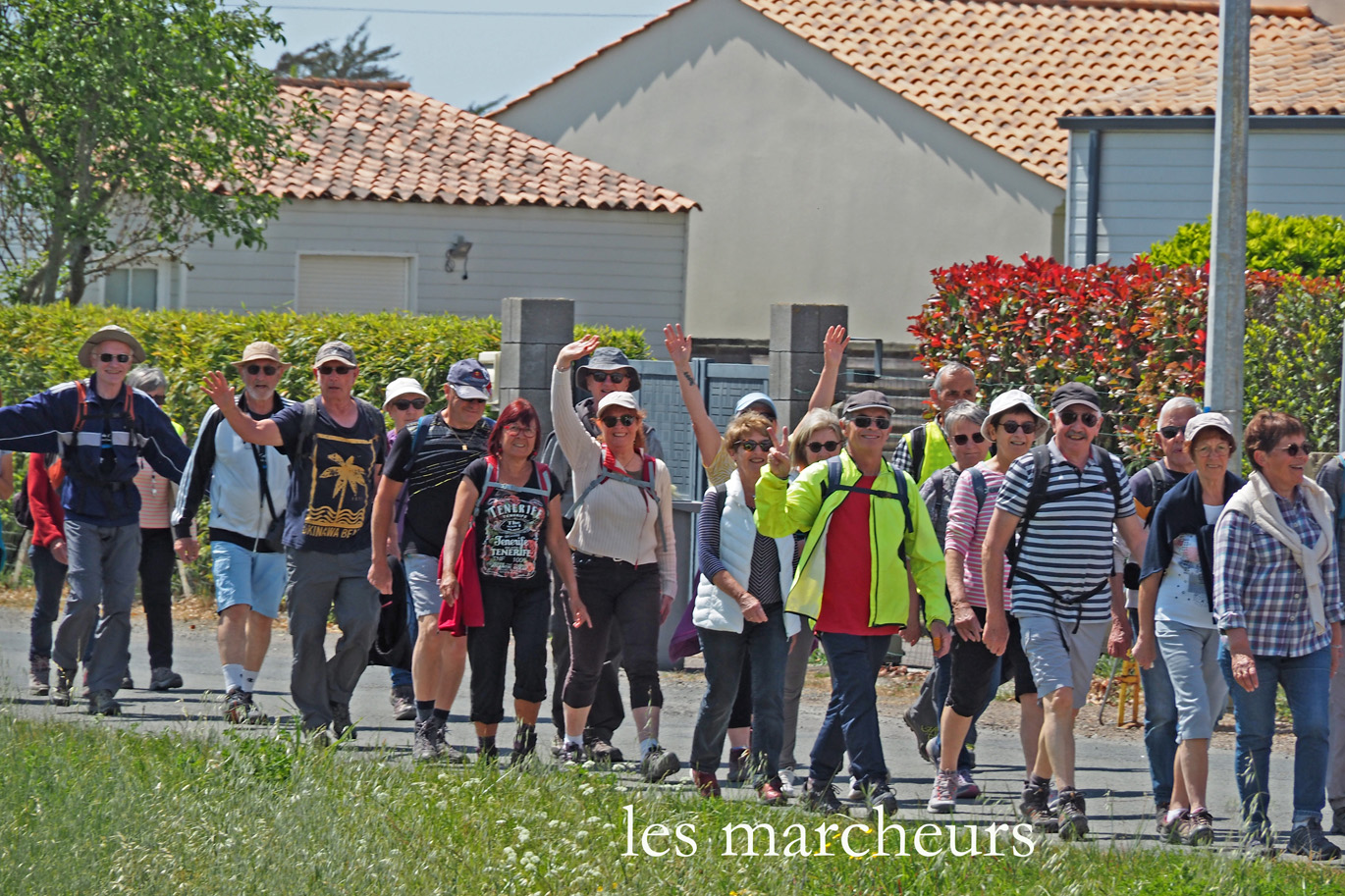 Randonnée du 5 mai 2022 à Olonne Aurière