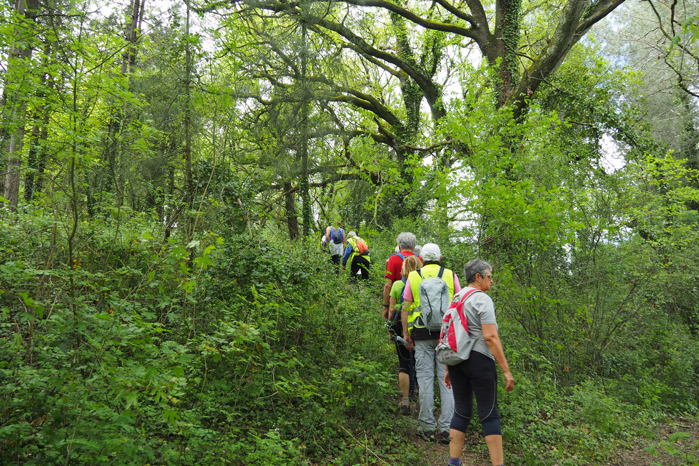 Marches et rando à Aizenay – la Brionnière